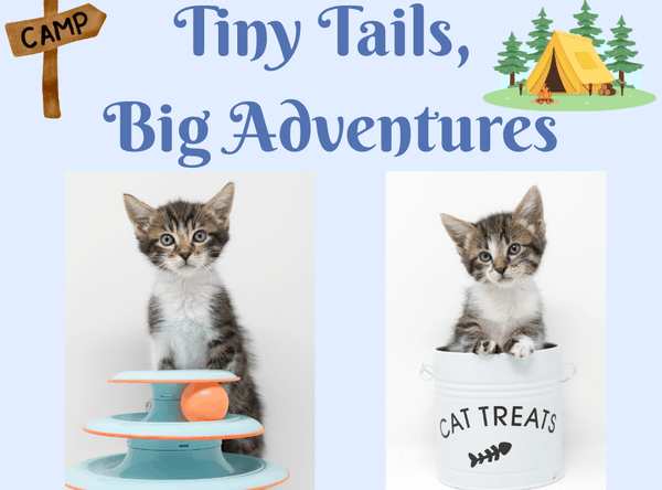Four Paws One Heart, Inc.