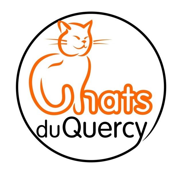 Chats de Quercy