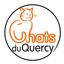 Chats de Quercy