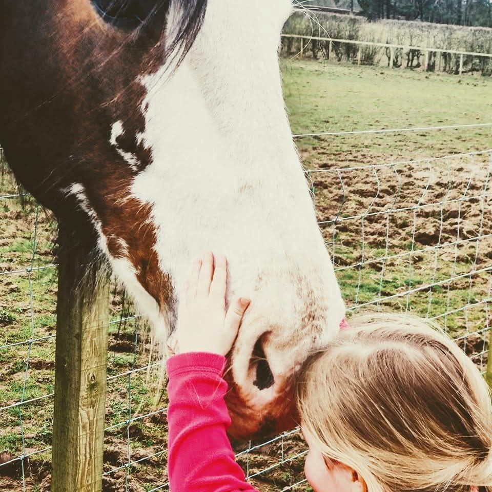 The Calm Clydesdale Therapeutic Centre SCIO