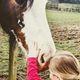 The Calm Clydesdale Therapeutic Centre SCIO