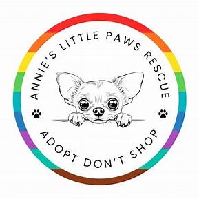 Annie's little paws rescue