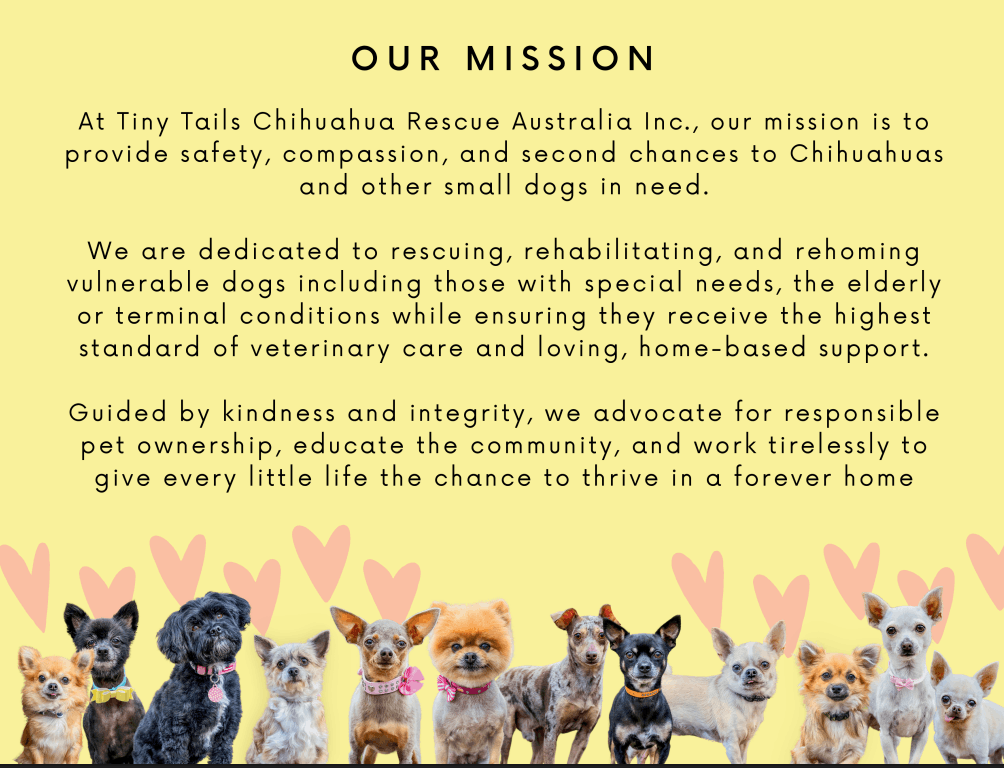 Tiny Tails Chihuahua Rescue
