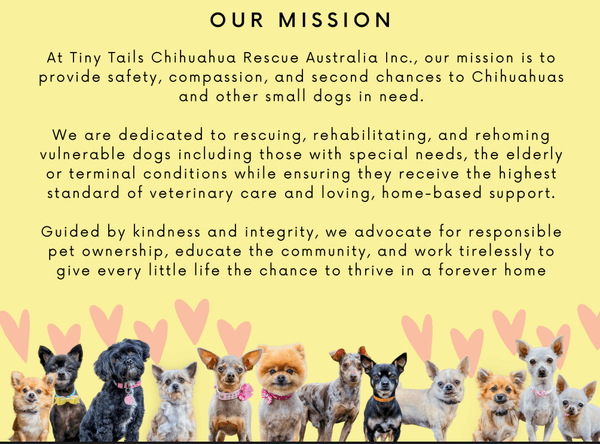 Tiny Tails Chihuahua Rescue