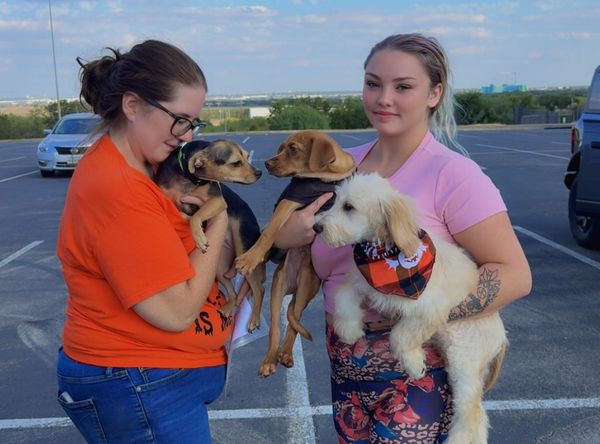 Bluus Cluus texas Street Rescue