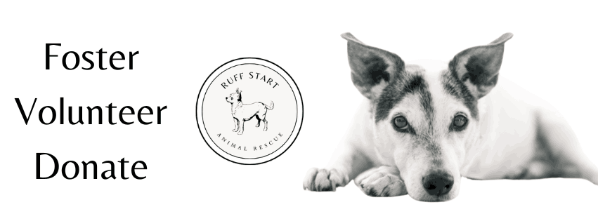 Ruff Start Animal Rescue Foundation