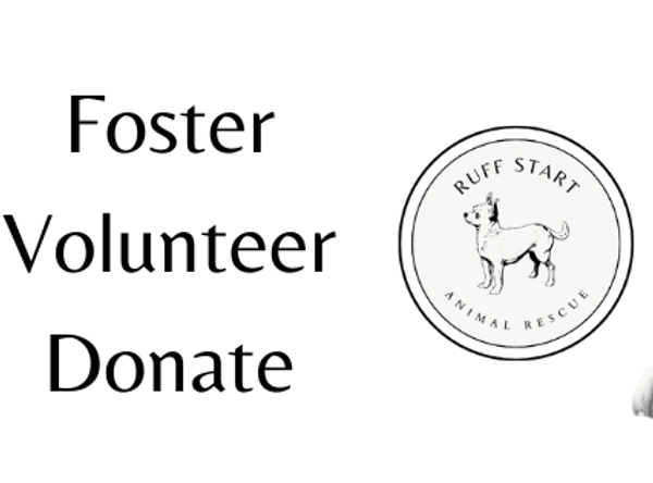 Ruff Start Animal Rescue Foundation