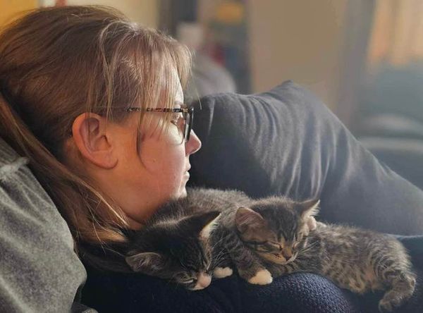 The Cats Sass Rescue