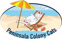 Peninsula Colony Cats