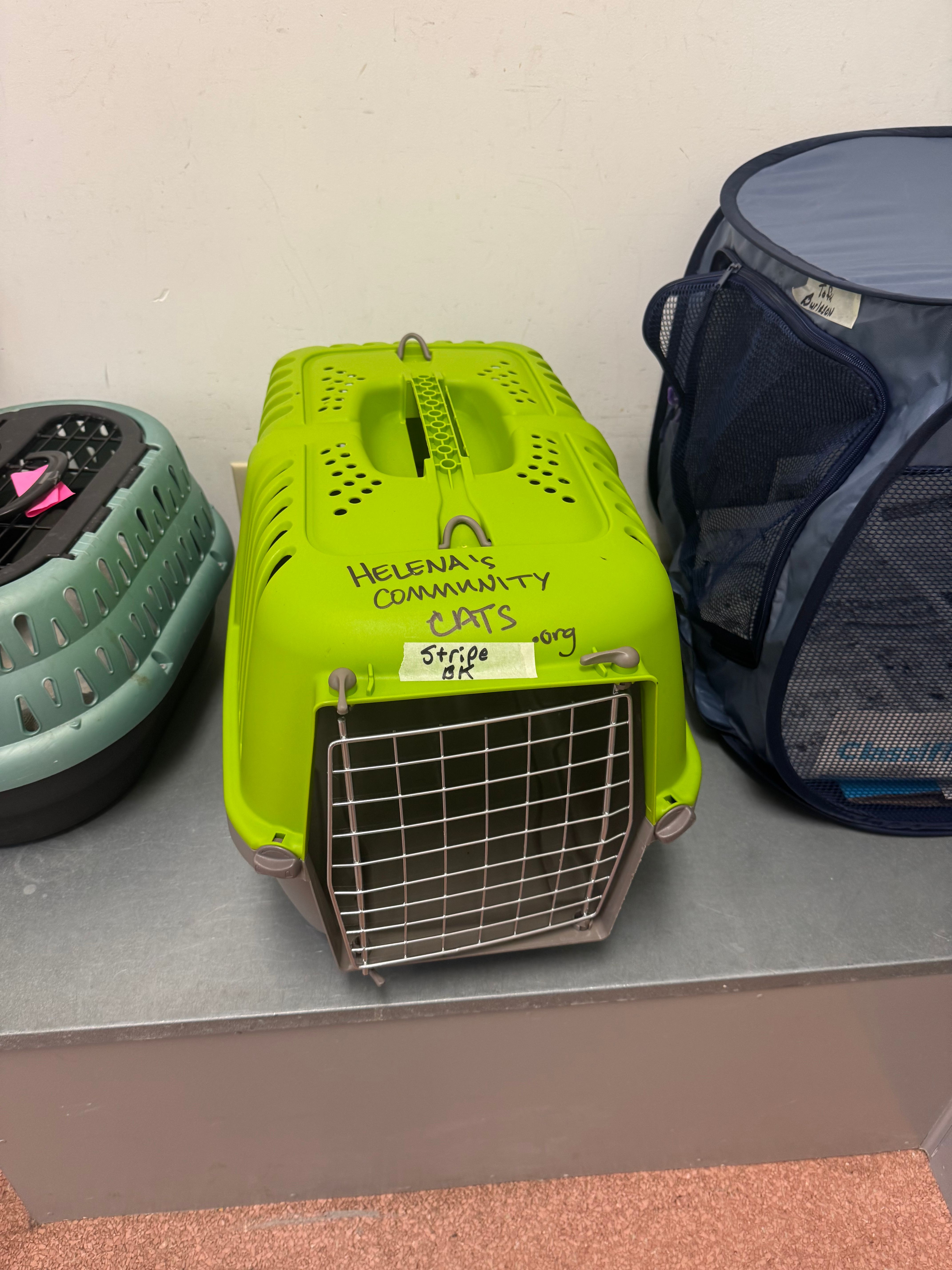 Helena's Community Cats of SOWEGA