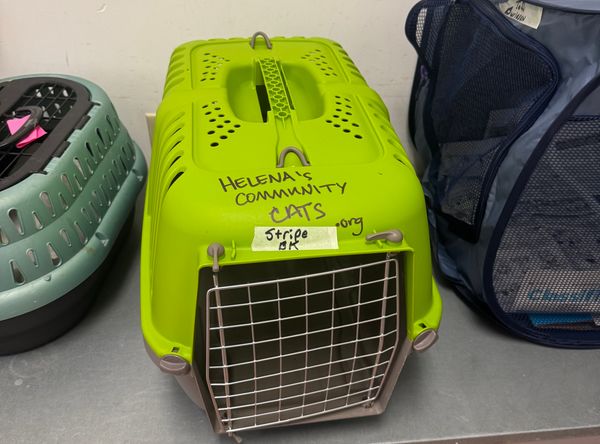 Helena's Community Cats of SOWEGA