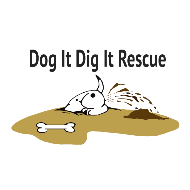Dog It Dig It Rescue