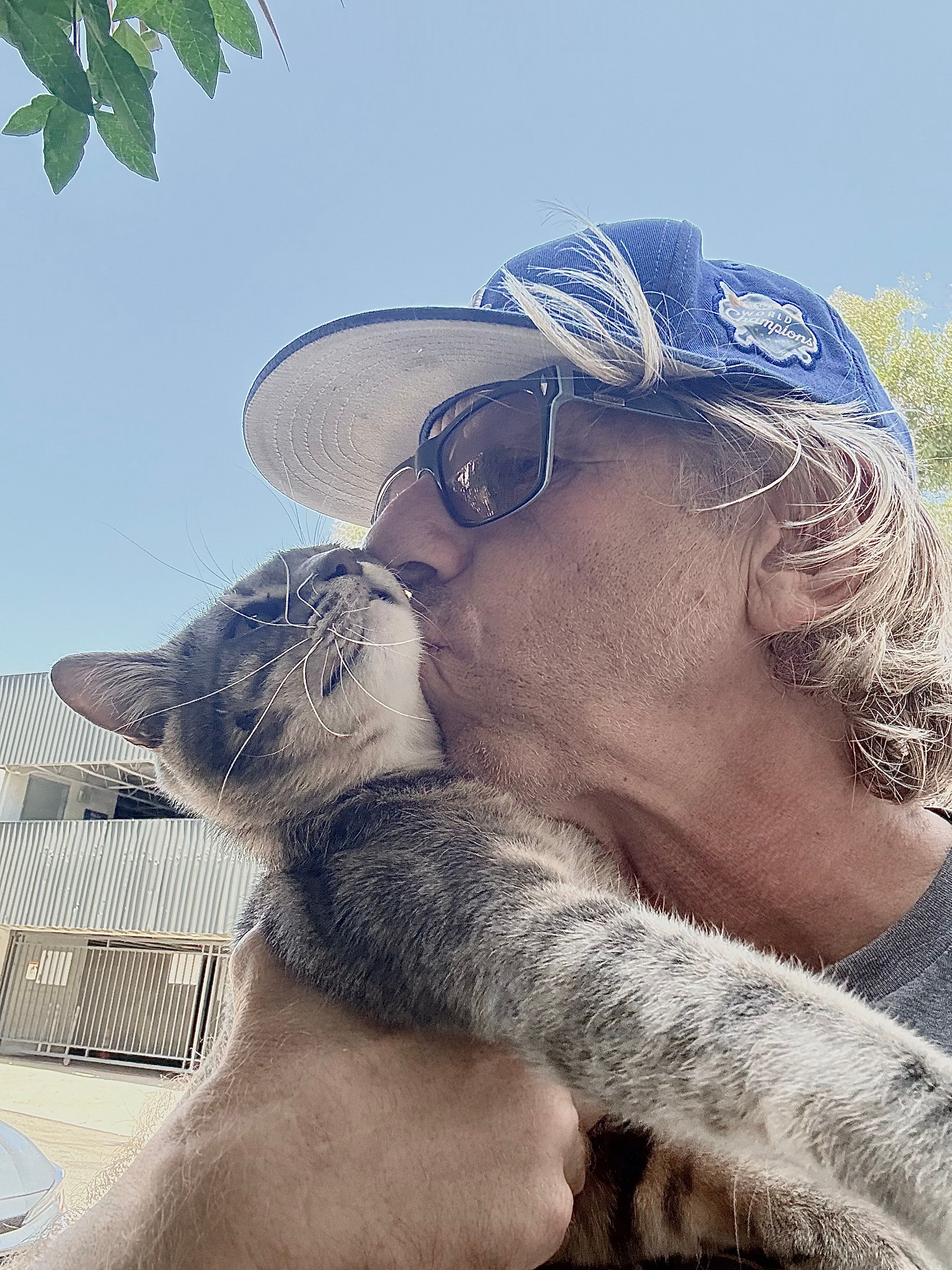 Animals In Need Rescue Network, Inc.