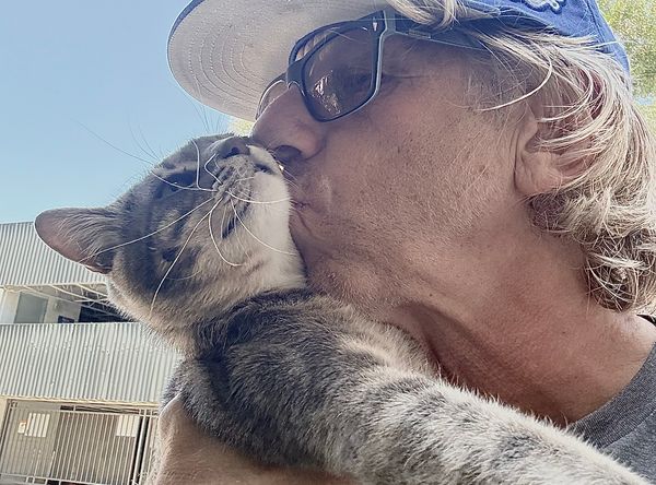 Animals In Need Rescue Network, Inc.