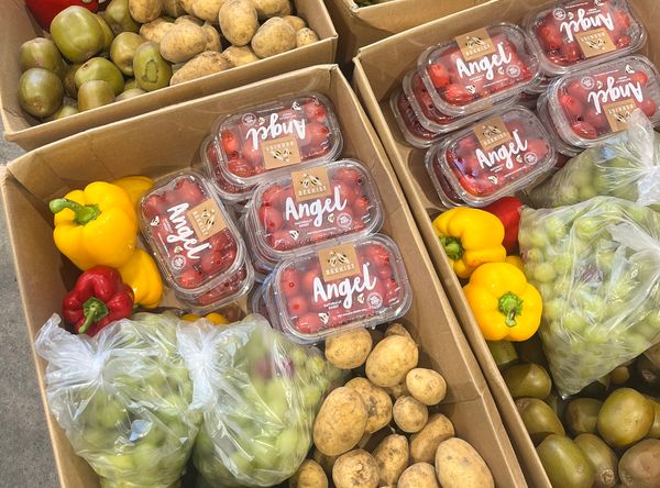 Whakaora Kai Food Rescue Northland