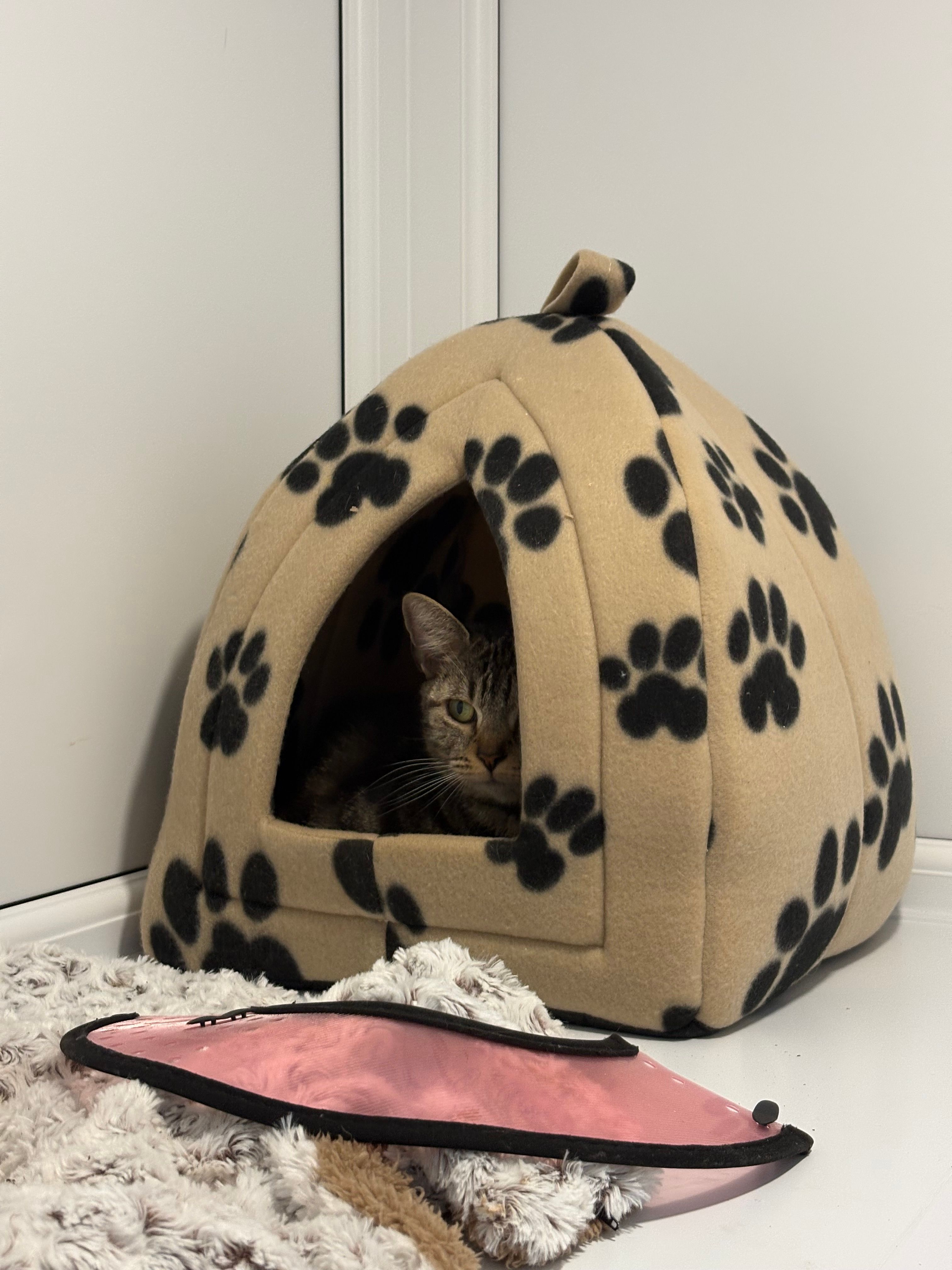 RSPCA Goole and District Branch
