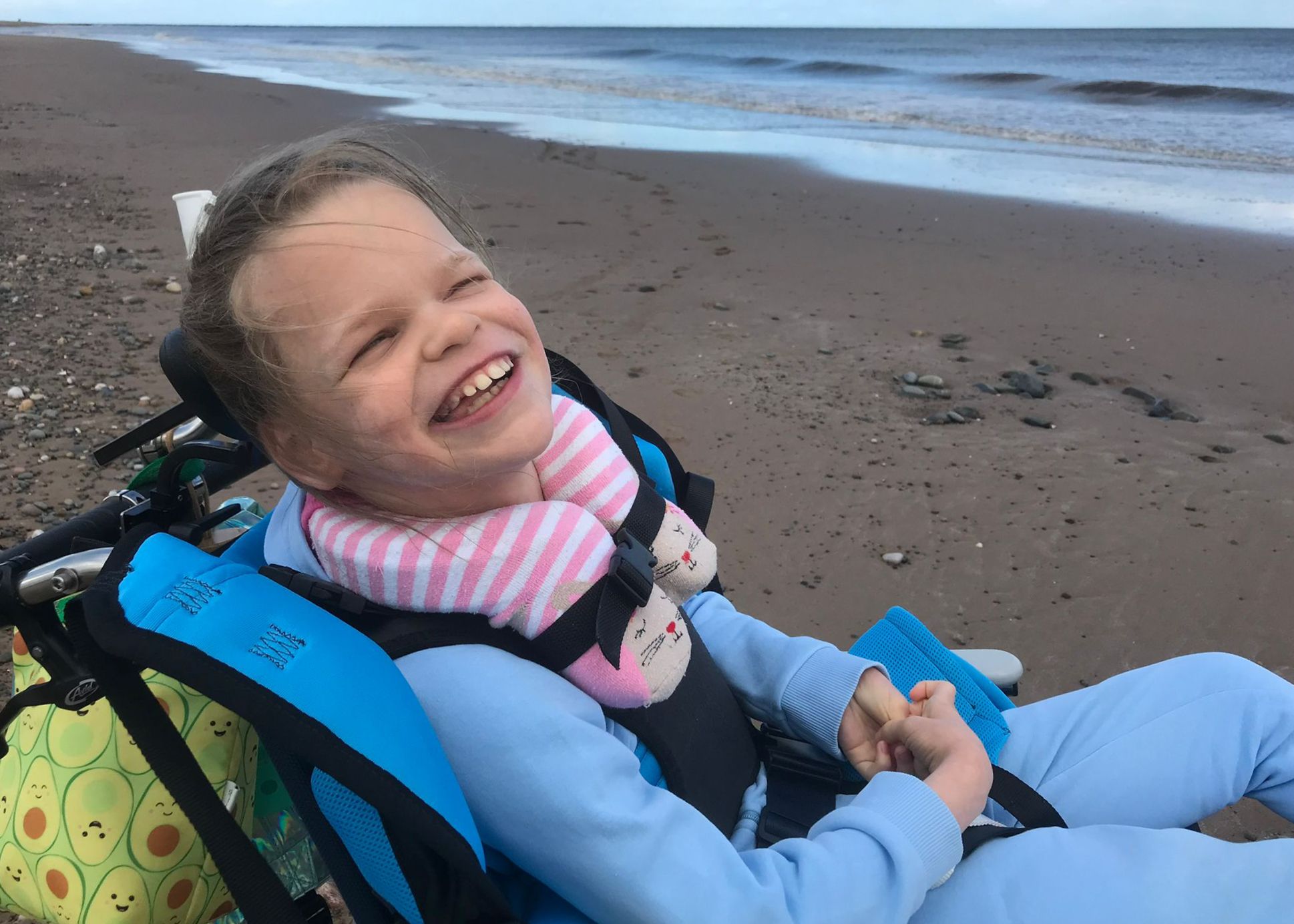 Fleetwood Beach Wheelchairs