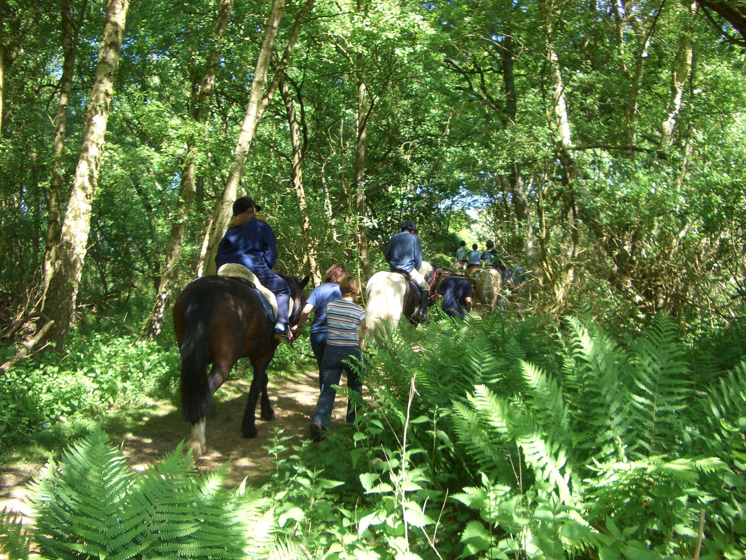 Bradbourne Group Riding for the Disabled