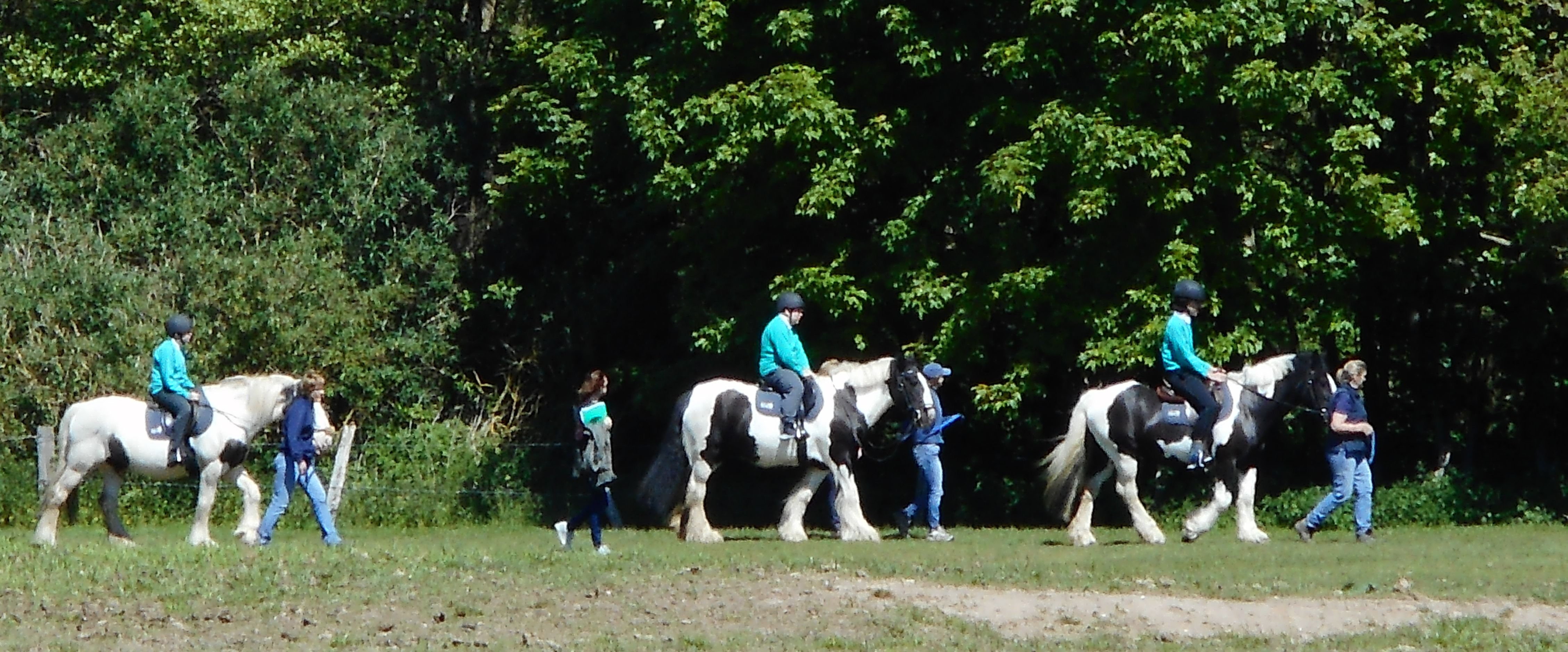 Bradbourne Group Riding for the Disabled