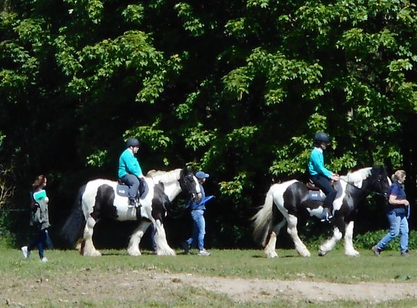Bradbourne Group Riding for the Disabled