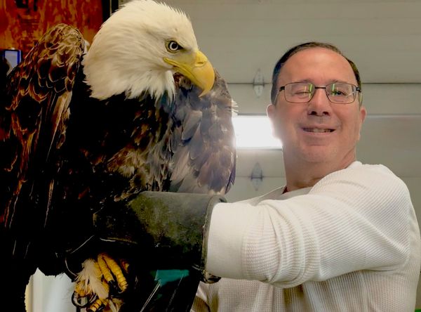 Woodhaven Wildlife center , Chadwic, NewYor