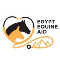 Egypt Equine Aid