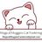 Magical Moggies Canberra Cat Fostering