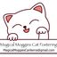 Magical Moggies Canberra Cat Fostering