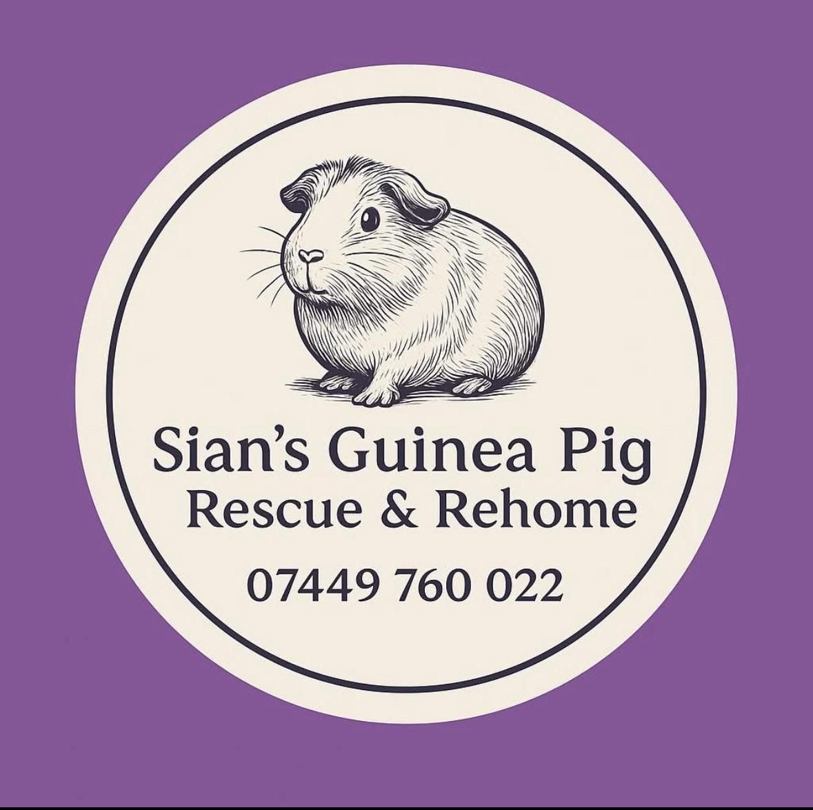 Sians Guinea Pig Rescue