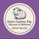 Sians Guinea Pig Rescue