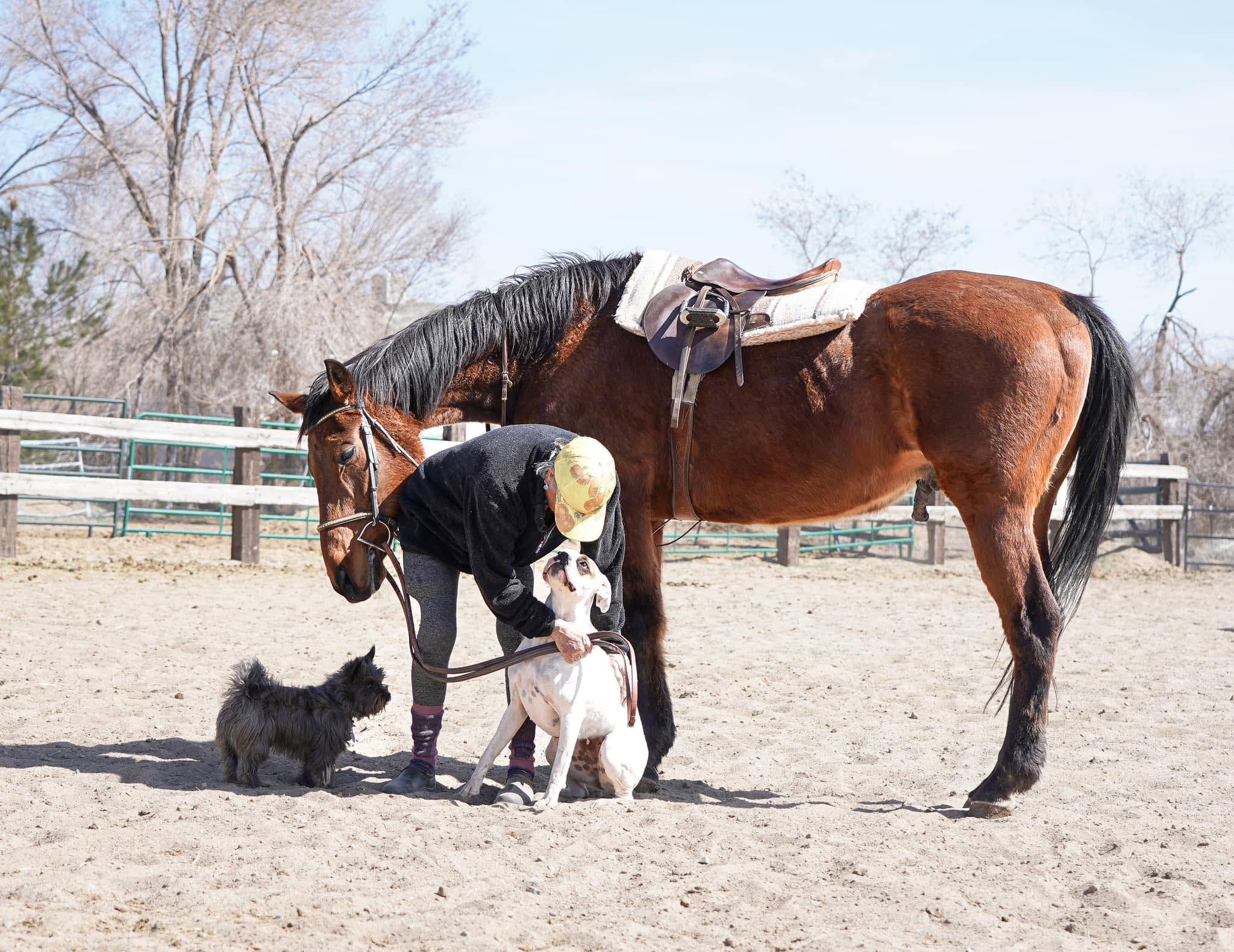 Soft Landing Senior Horse Rescue