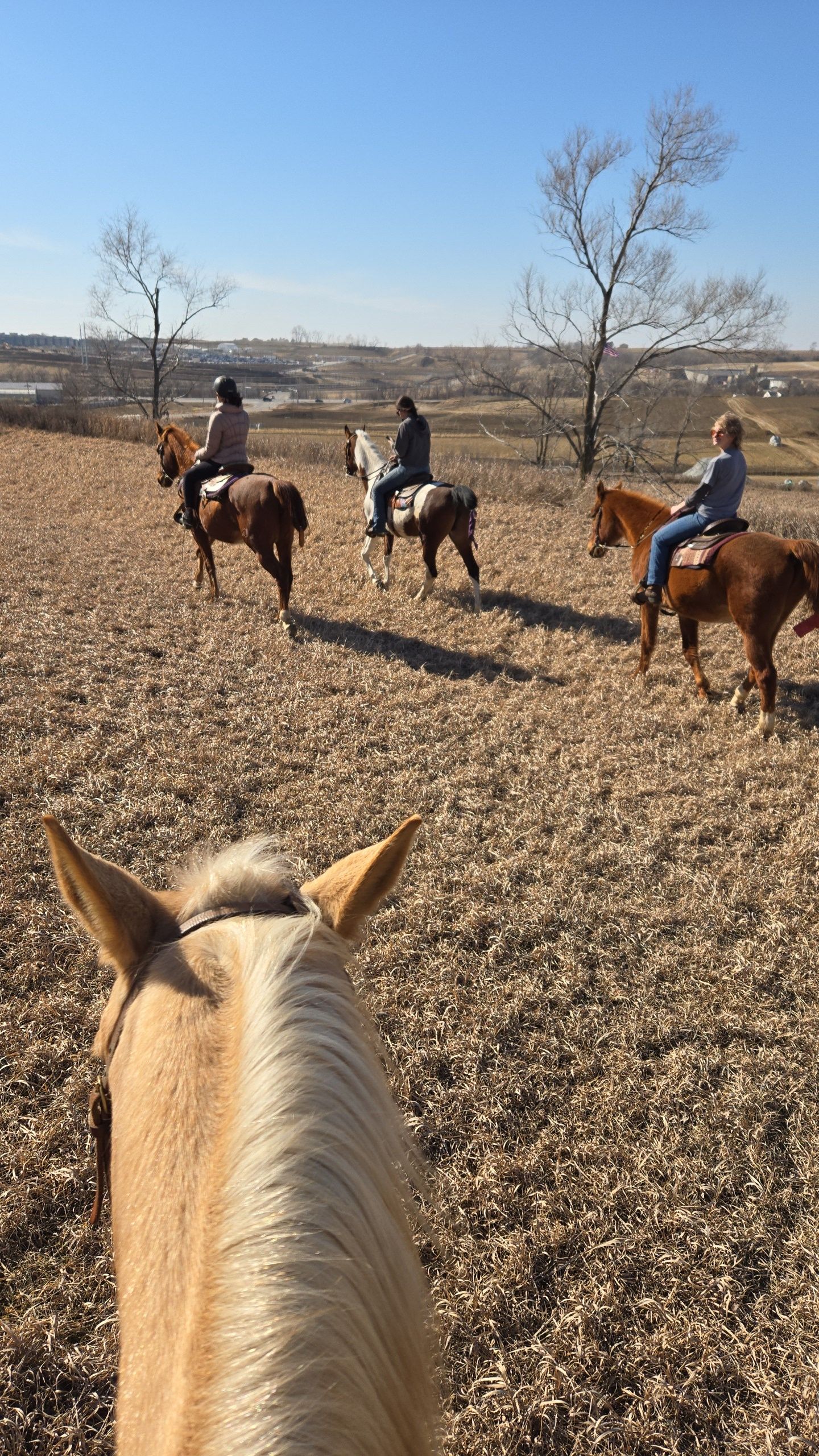 NorthWind Riding Academy