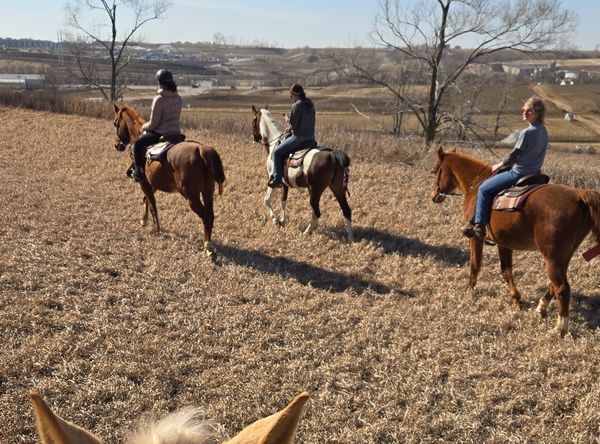 NorthWind Riding Academy