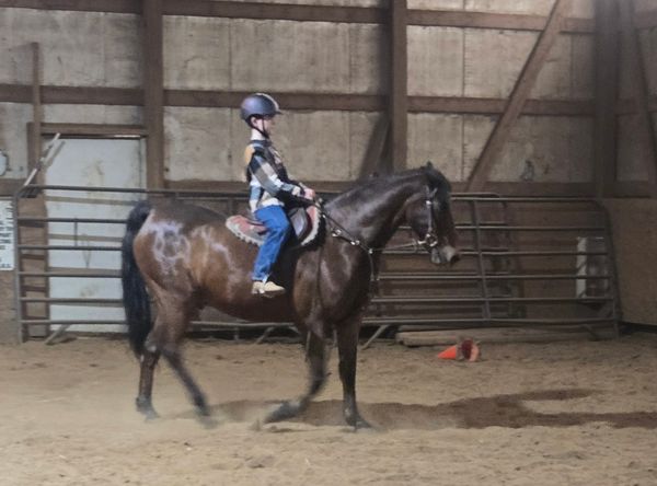 NorthWind Riding Academy