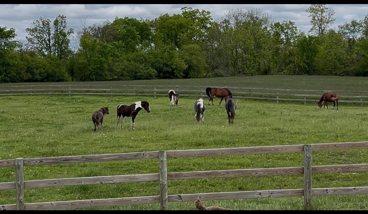 The End of the Trail Sanctuary