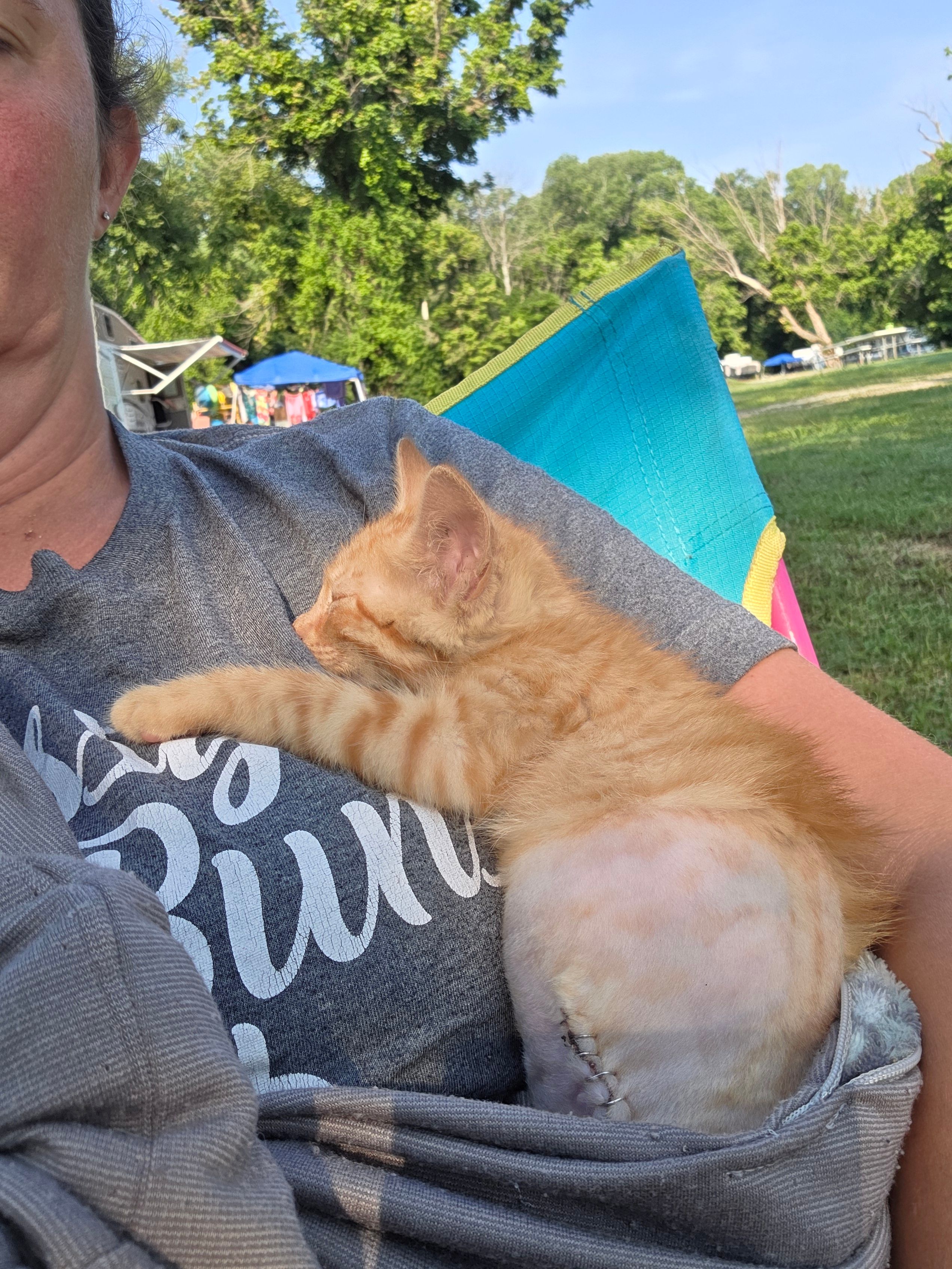 Southwest Missouri Animal Rescue