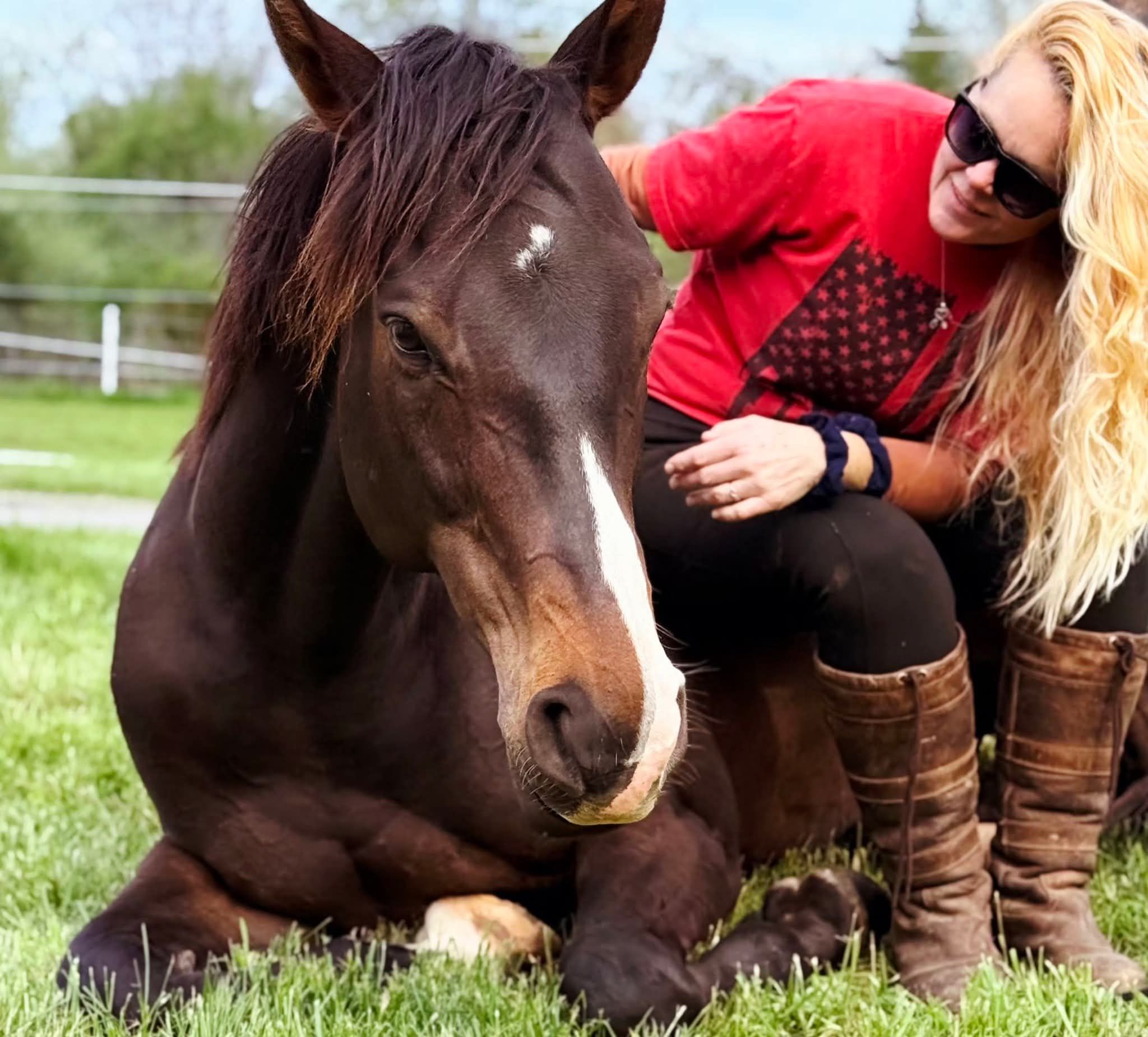 Misfit Farm and Sanctuary