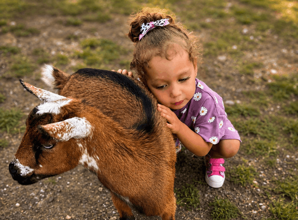 Misfit Farm and Sanctuary