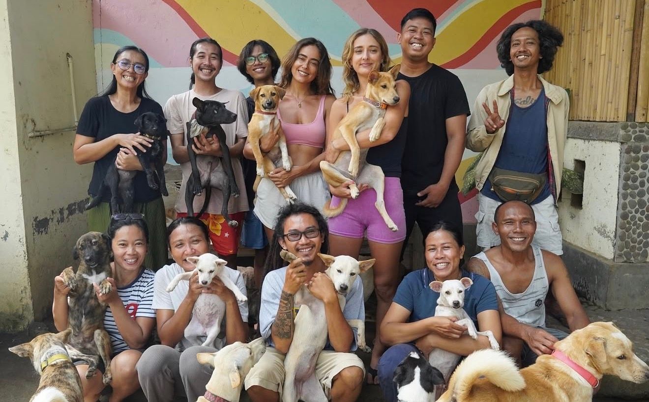 Bali Paws