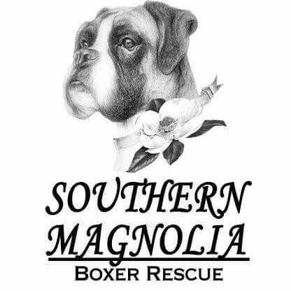 Southern Magnolia Boxer Rescue