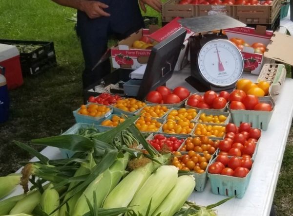 Excelsior Springs Farmers Market