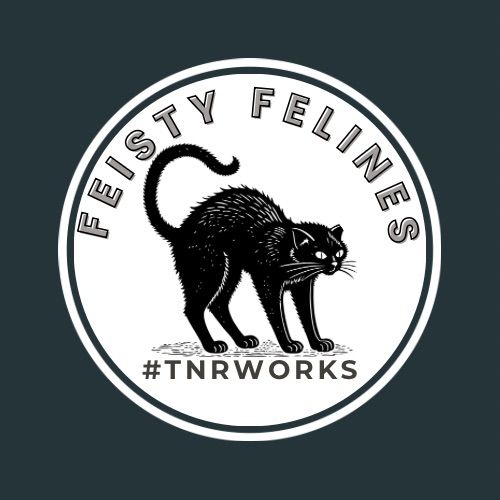 Feisty Felines, Inc