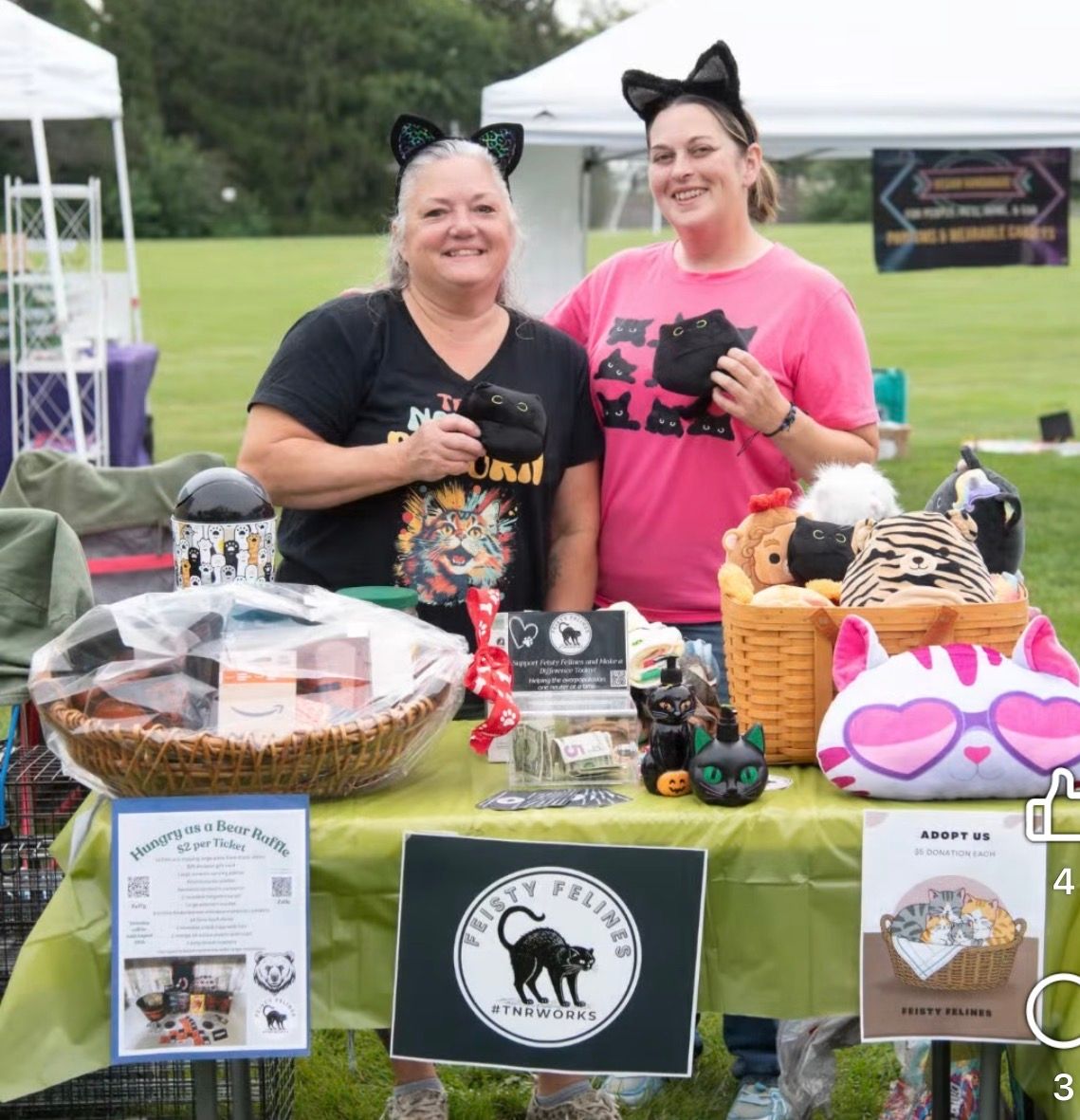 Feisty Felines, Inc