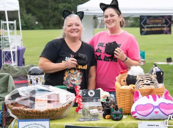 Feisty Felines, Inc