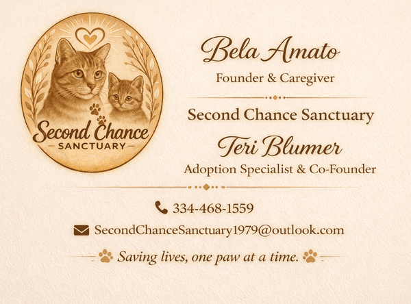 Second Chance Sanctuary