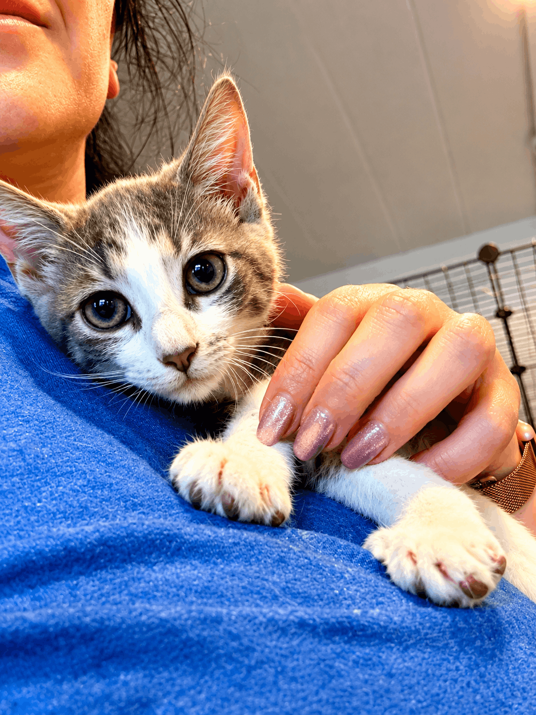 Second Chance Sanctuary