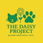 The Daisy Project