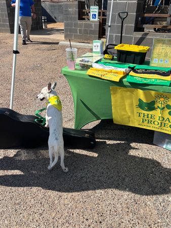The Daisy Project