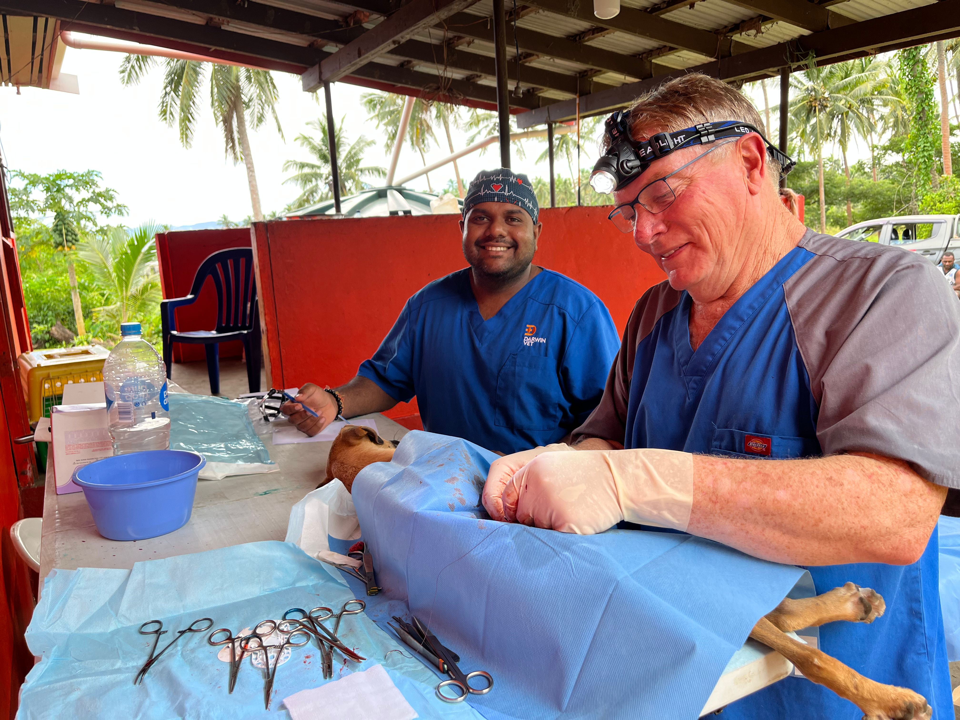Taveuni Animal Lovers