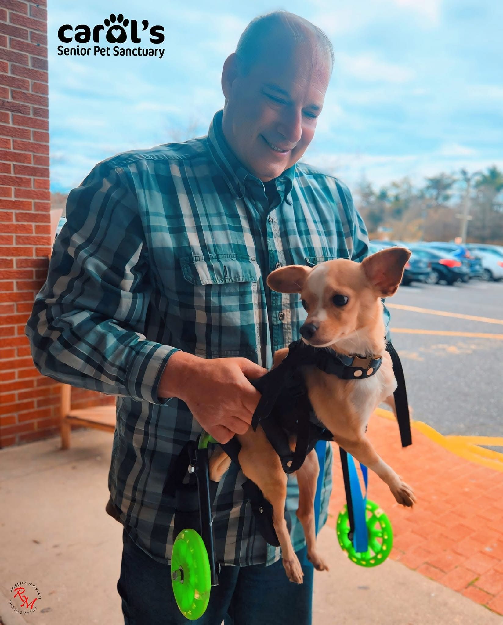 Carol genovesi senior pet sanctuary